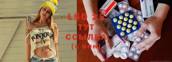 PSILOCYBIN Болотное