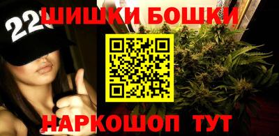 крисы Краснодар