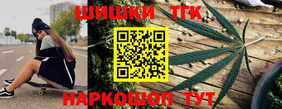 крисы Краснодар
