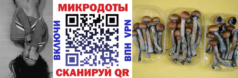 Псилоцибиновые грибы Psilocybe  Лангепас 