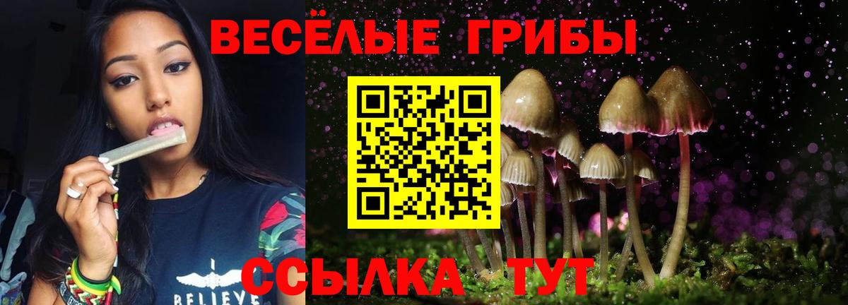 Лангепас  хочу   Вход с VPN  Галлюциногенные грибы MAGIC MUSHROOMS  Галлюциногенные грибы MAGIC MUSHROOMS 